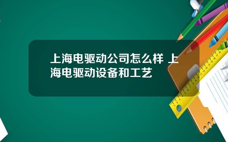 上海电驱动公司怎么样 上海电驱动设备和工艺